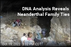 DNA Analysis Reveals Neanderthal Family Ties