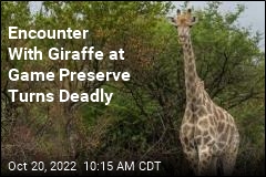 Toddler Dead in Rare Giraffe Attack