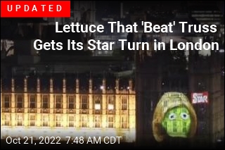 Head of Lettuce Symbolizes Liz Truss&#39; Tenure