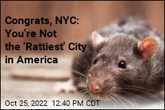 Congrats, NYC: You&#39;re Not the &#39;Rattiest&#39; City in America