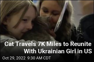 Girl Who Had to Leave Cat in Ukraine Has Joyous Reunion