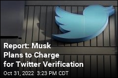 Elon Musk Plans to &#39;Revamp&#39; Twitter Verification