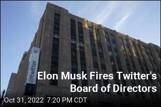 Musk Is Now Twitter&#39;s &#39;Sole Director&#39;