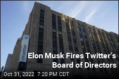 Musk Is Now Twitter&#39;s &#39;Sole Director&#39;