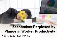 Economists Perplexed by Plunge in Worker Productivity