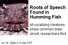 Roots of Speech Found in Humming Fish