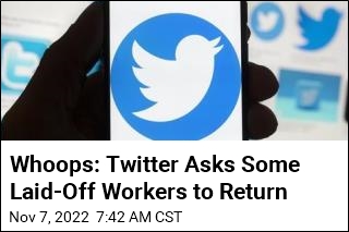 Whoops: Twitter Asks Some Laid-Off Workers to Return