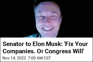 Elon Musk&#39;s Latest Twitter Squabble Is With a US Senator