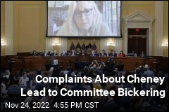 Complaints About Cheney Lead to Committee Bickering