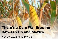 US and Mexican Officials Struggle to Avert Corn War