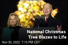 National Christmas Tree Blazes to Life