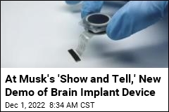 At Musk&#39;s &#39;Show and Tell,&#39; New Demo of Brain Implant Device