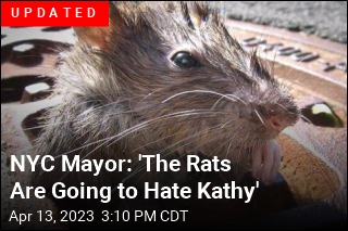NYC Will Pay Up to $170K for 'Somewhat Bloodthirsty' Rat Czar