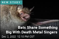 If You Think Mariah Can Sing, You Haven&#39;t Heard These Bats