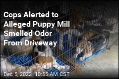 Cops Alerted to Alleged Puppy Mill Smelled Odor From Driveway