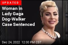 Man Who Shot Lady Gaga&#39;s Dog Walker Sentenced