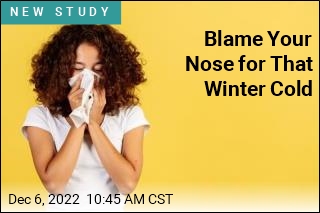 Blame Your Nose for That Winter Cold
