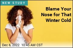 Blame Your Nose for That Winter Cold