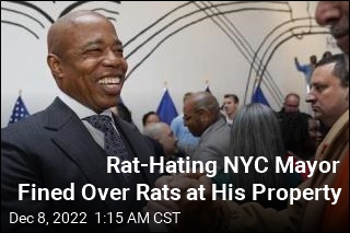 NYC Mayor, Who Hates Rats, Is Fighting a Fine for, Yes, Rats