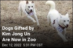 Dogs Gifted by Kim Jong Un Are Now in Zoo