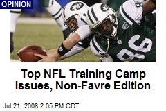 Top NFL Training Camp Issues, Non-Favre Edition