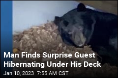 Man Finds &#39;Super Chill&#39; Bear Hibernating Under His Deck