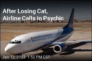 Airline Calls in Psychic to Find Missing Cat