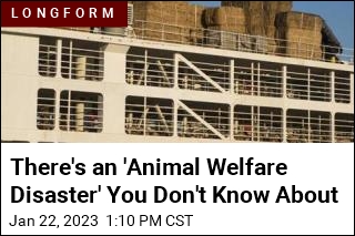 There&#39;s an &#39;Animal Welfare Disaster&#39; You Haven&#39;t Heard Of