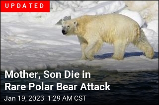 Polar Bear Kills 2 in Remote Alaskan Town