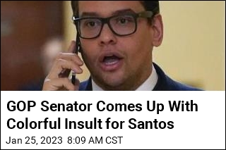 GOP Senator Comes Up With Colorful Insult for Santos