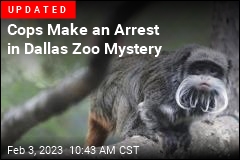 $25K Reward Offered in Dallas Zoo Mystery