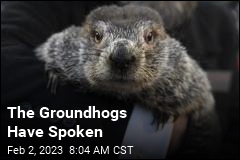 The Groundhogs Have Spoken