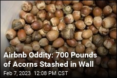 Odd Find at California AirBnb: 700lbs of Acorns in a Wall