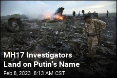 MH17 Investigators Land on Putin&#39;s Name