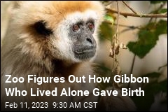 2 Years Later, Mysterious Animal Birth Is Solved