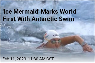&#39;Ice Mermaid&#39; Marks World First With Antarctic Swim