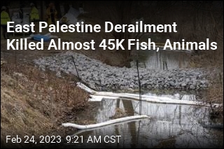 East Palestine Derailment Killed Almost 45K Fish, Animals