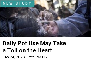 Daily Pot Use May Take a Toll on the Heart