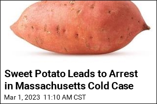 Sweet Potato Leads to Arrest in Massachusetts Cold Case