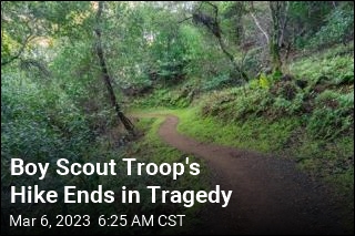 Mom of Boy Scout Dies After Tree Comes Down During Hike