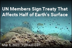 UN Members Sign Treaty That Affects Half of Earth&#39;s Surface
