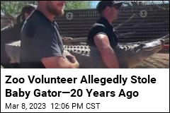 Zoo Volunteer Allegedly Stole Gator Egg. It&#39;s Now 8 Feet Long