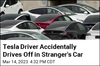 Tesla Driver: App Let Me Drive Off in Stranger&#39;s Car