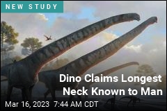 Dino Claims Longest Neck Known to Man