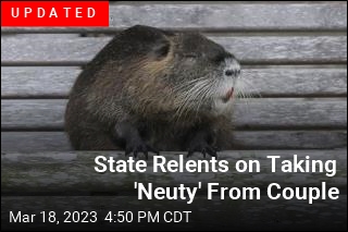 They&#39;ve Raised &#39;Neuty&#39; From Infancy. The State Wants Him