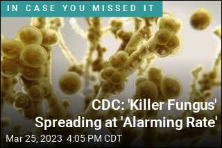 CDC: &#39;Killer Fungus&#39; Spreading at &#39;Alarming Rate&#39;