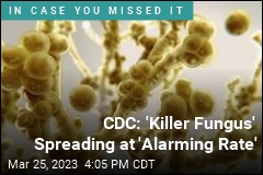 CDC: &#39;Killer Fungus&#39; Spreading at &#39;Alarming Rate&#39;