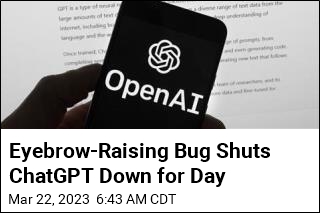 ChatGPT Got Shut Down Temporarily Over a Bug