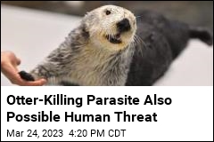 Otter-Killing Parasite Also Possible Human Threat
