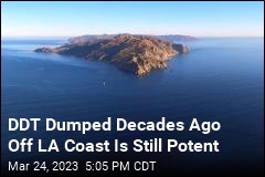 DDT Dumped Decades Ago Off LA Coast Is Still Potent